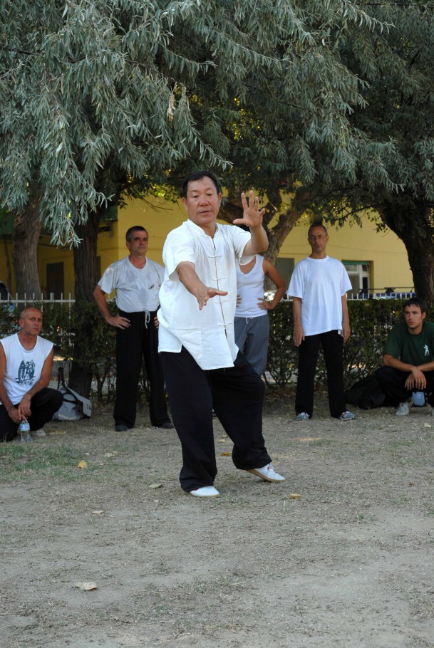 Forma13, movimento 6 - Zuo Lou Xi Ao Bu (spazzolare il ginocchio a sinistra)