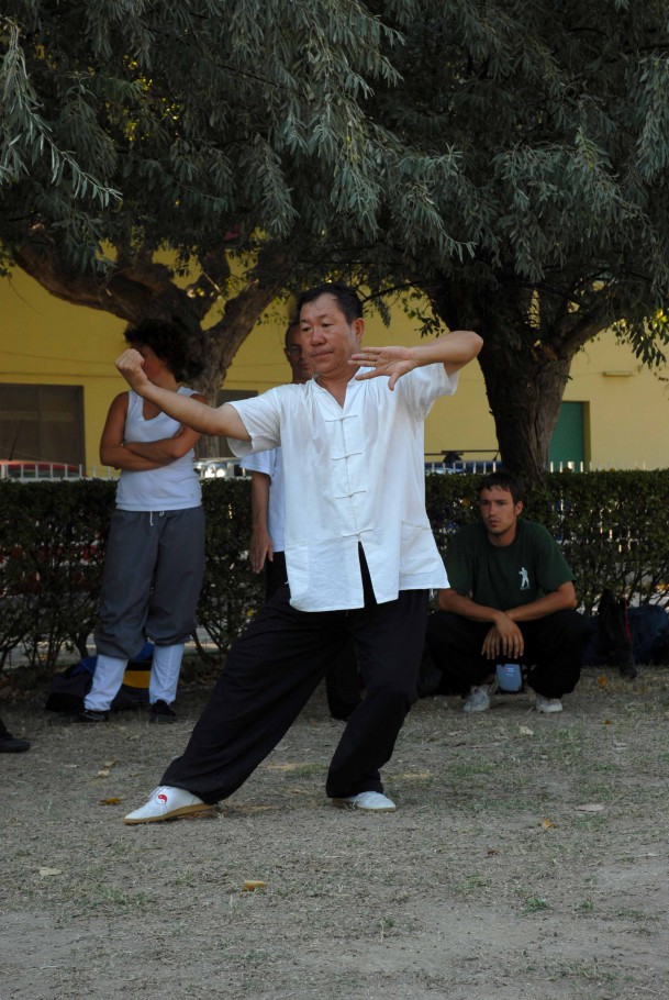 Forma13, movimento 9 - Zhuan Shen Pie Shen Chui (colpire con il pugno girando il corpo)