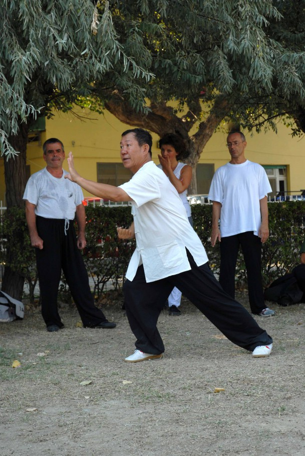 Forma13, movimento 10 - Jin Bu Ban Lan Chui (parare e colpire con il pugno)